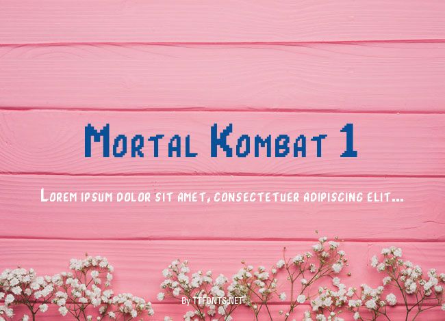 Mortal Kombat 1 example