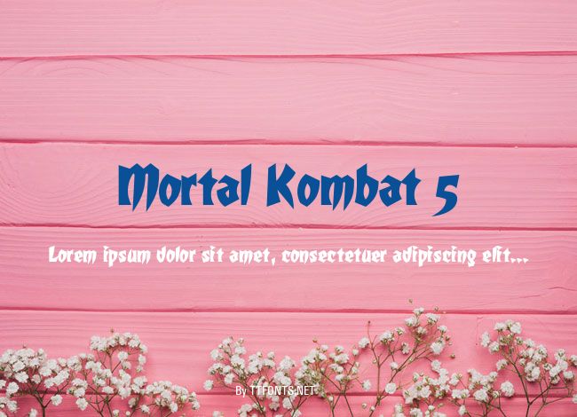 Mortal Kombat 5 example