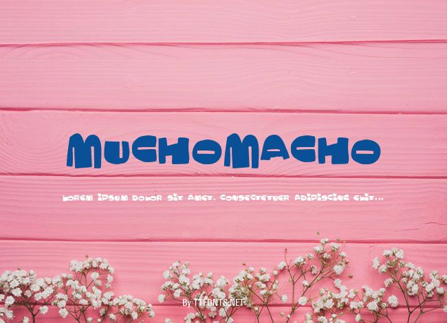 MuchoMacho example