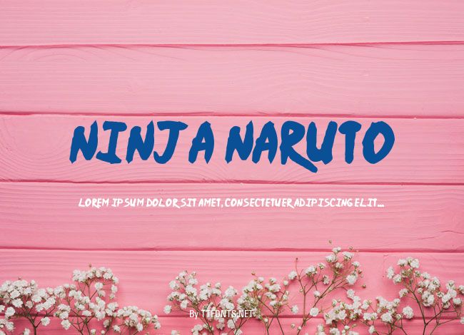 Ninja Naruto example