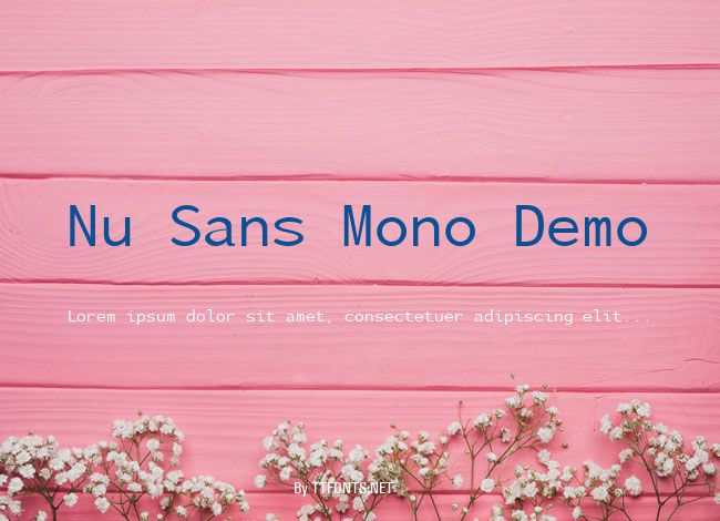 Nu Sans Mono Demo example