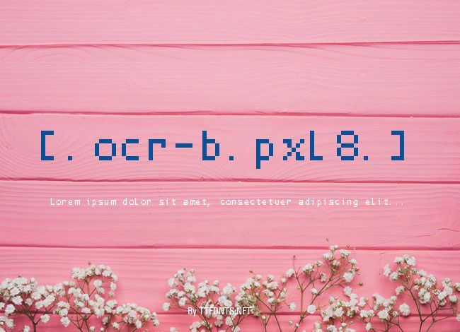 [.ocr-b.pxl8.] example