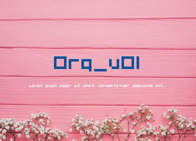 Org_v01 example