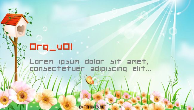 Org_v01 example