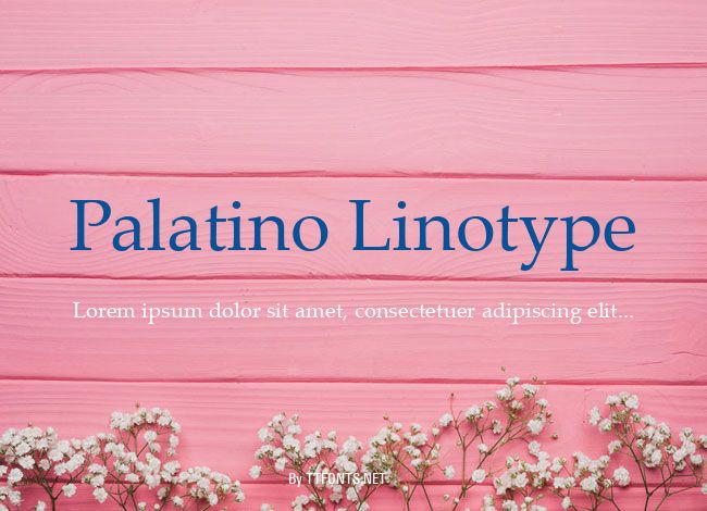 Palatino Linotype example