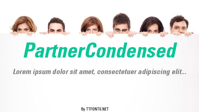 PartnerCondensed example