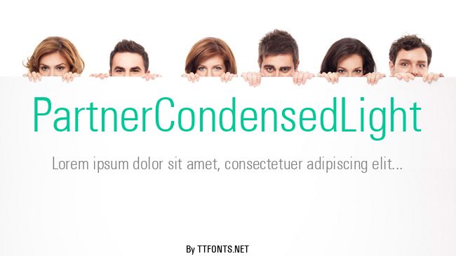 PartnerCondensedLight example