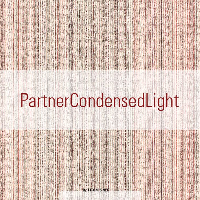 PartnerCondensedLight example