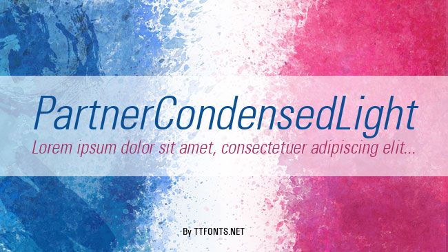 PartnerCondensedLight example