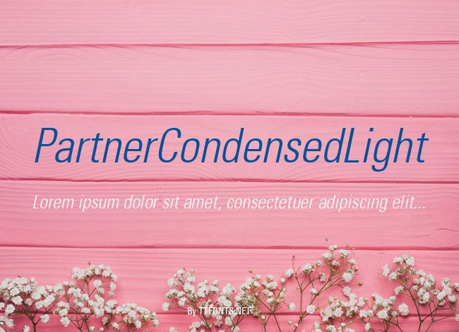 PartnerCondensedLight example