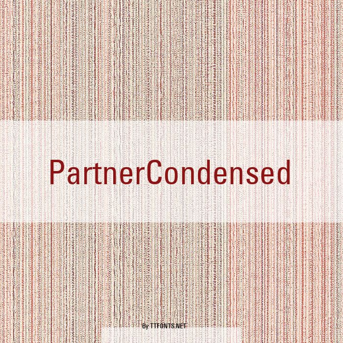 PartnerCondensed example