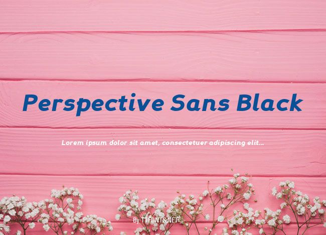 Perspective Sans Black example