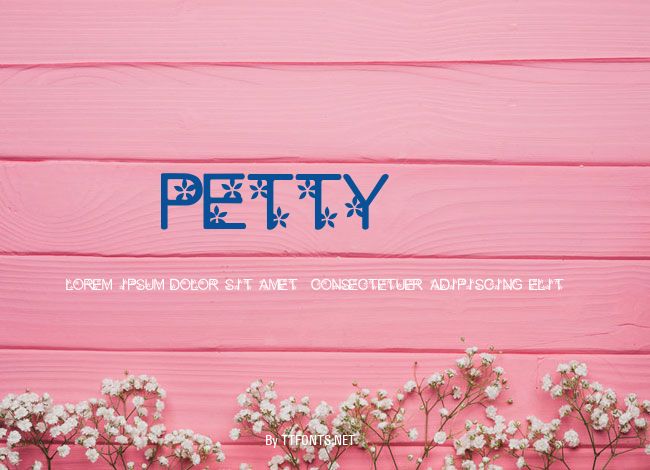 petty1.0 example