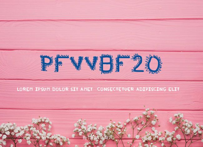 pfvvbf20 example