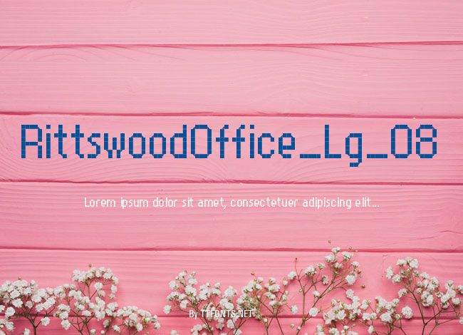 RittswoodOffice_Lg_08 example