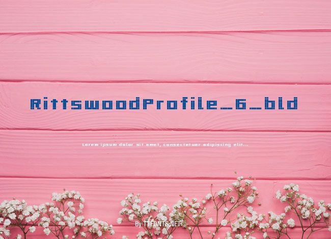 RittswoodProfile_6_bld example