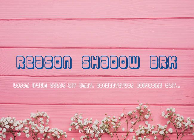 Reason Shadow BRK example