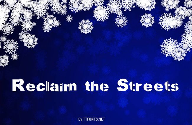 Reclaim the Streets example