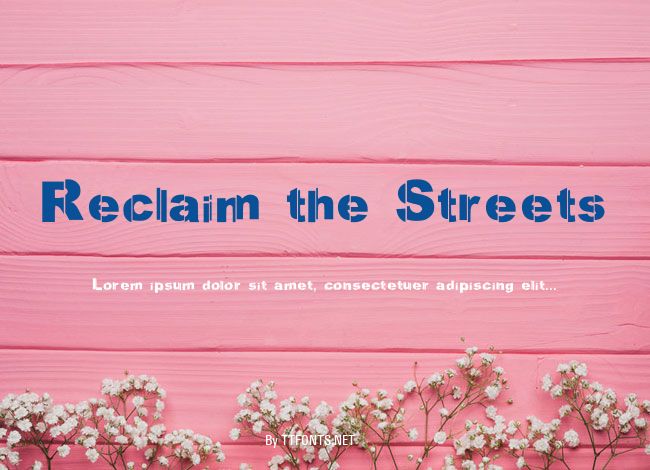 Reclaim the Streets example