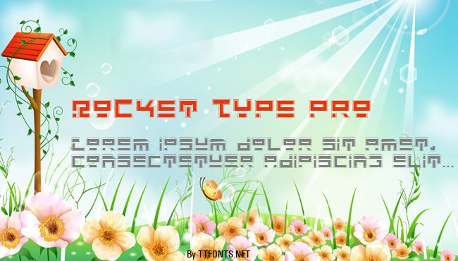 Rocket Type Pro example