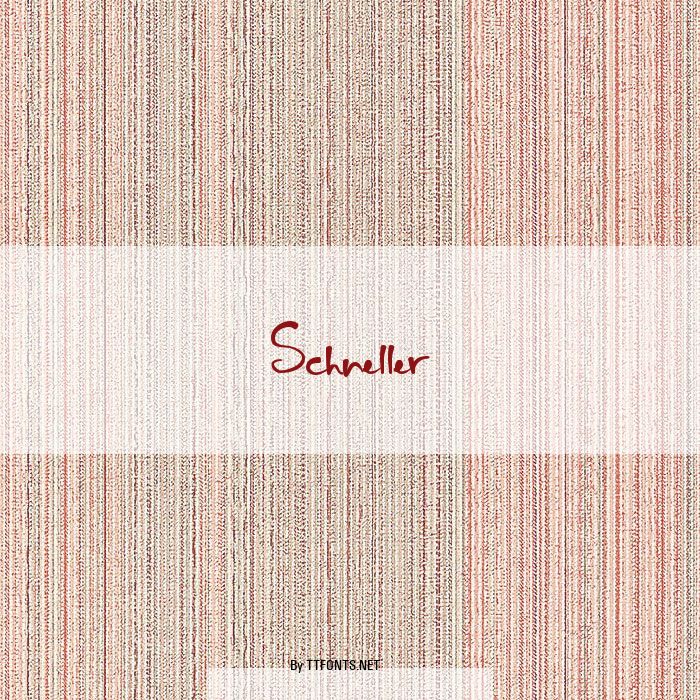Schneller example