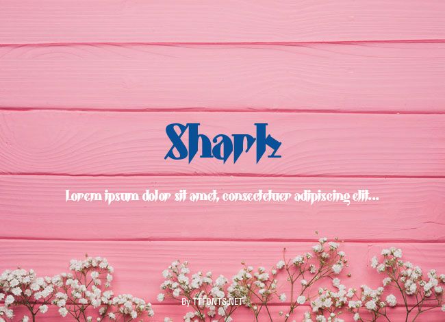 Shark example
