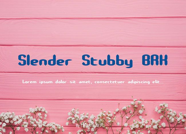 Slender Stubby BRK example