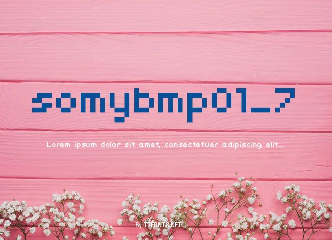 somybmp01_7 example