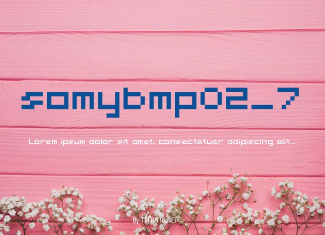 somybmp02_7 example