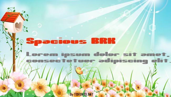 Spacious BRK example