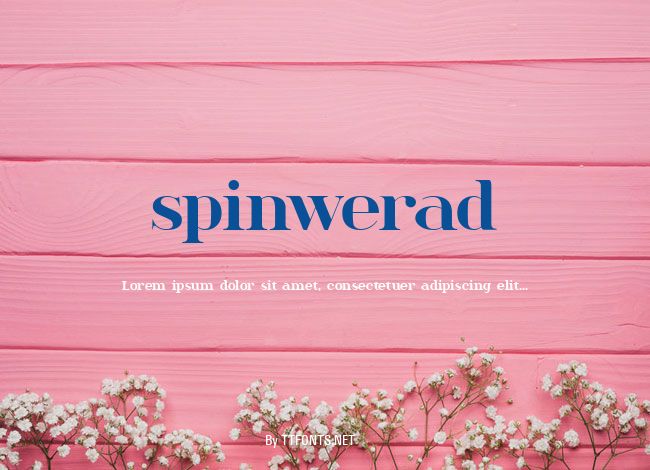 spinwerad example