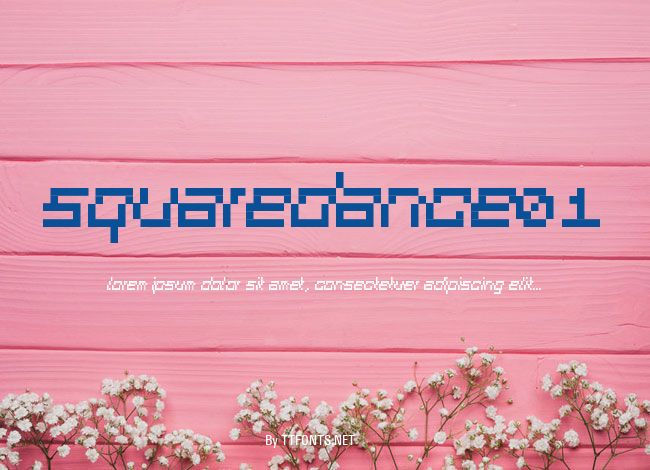 SquareDance01 example
