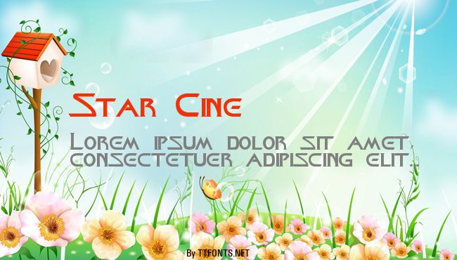 Star Cine example