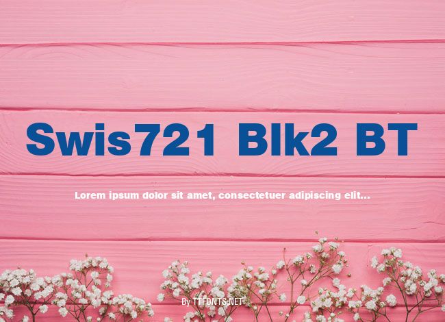 Swis721 Blk2 BT example