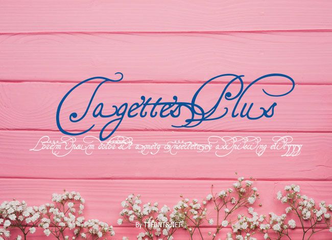 TagettesPlus example