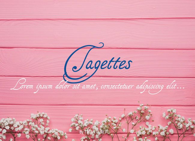 Tagettes example