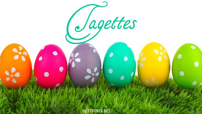 Tagettes example