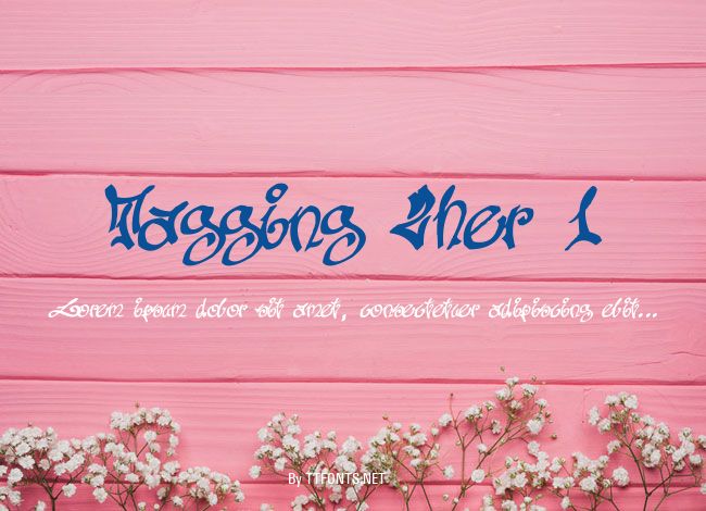 Tagging Zher 1 example