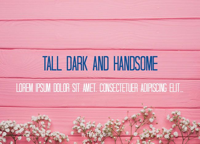 Tall Dark And Handsome example