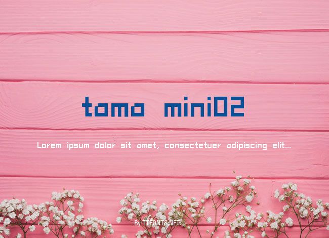 tama mini02 example