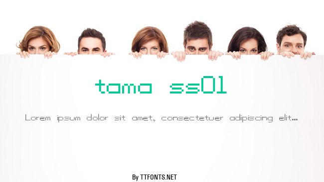 tama ss01 example