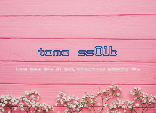 tama ss01b example