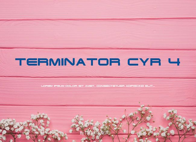 Terminator Cyr 4 example