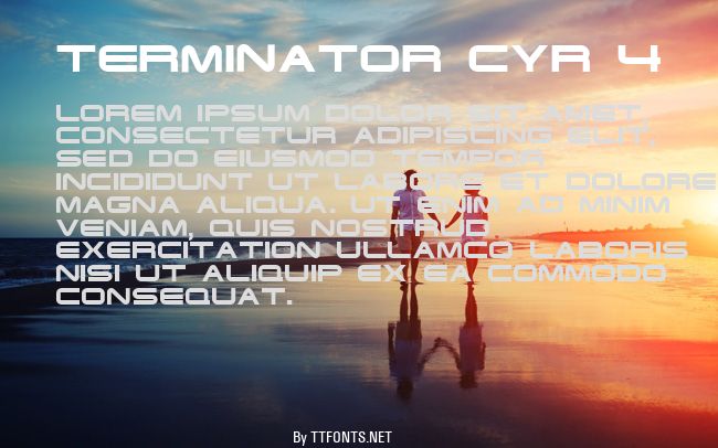 Terminator Cyr 4 example