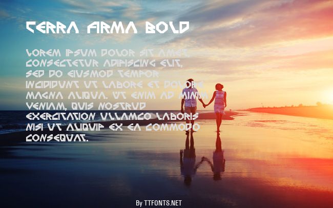 Terra Firma Bold example
