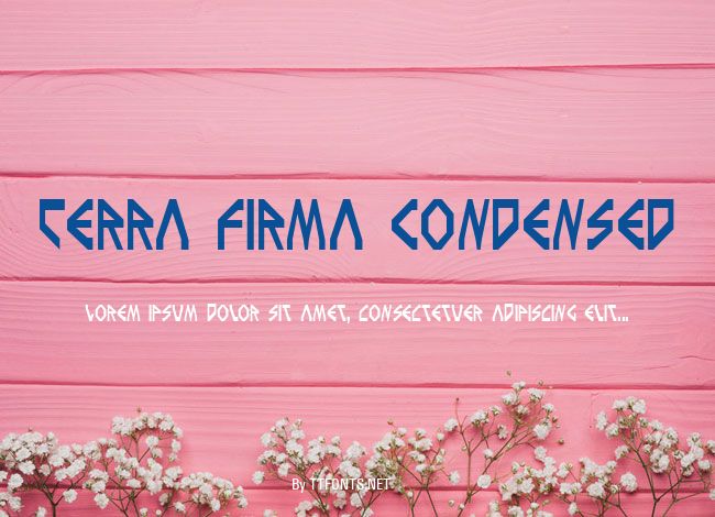 Terra Firma Condensed example
