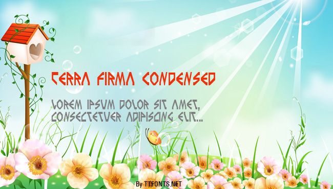 Terra Firma Condensed example