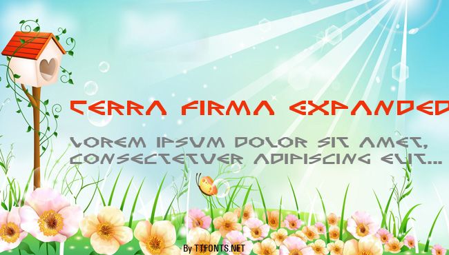 Terra Firma Expanded example