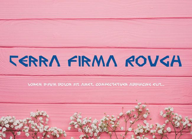 Terra Firma Rough example