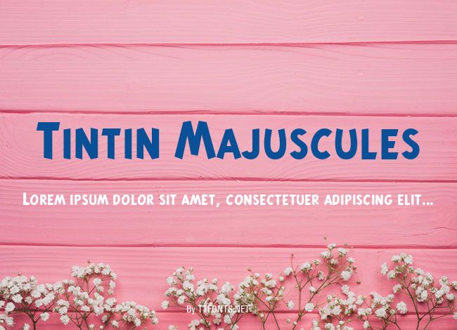 Tintin Majuscules example
